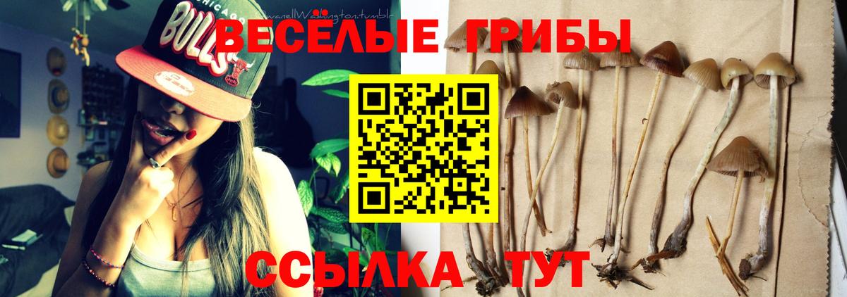 Галлюциногенные грибы MAGIC MUSHROOMS  Вход с VPN  Зерноград 